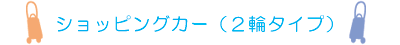 �V���b�s���O�J�[�i2�փ^�C�v�j