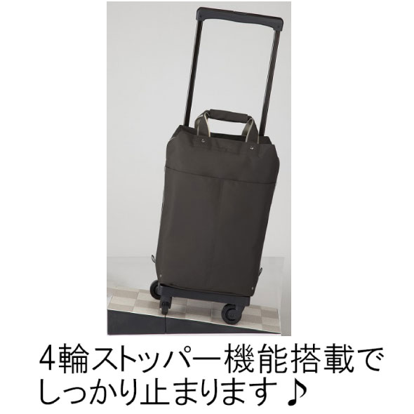 スワニー(SWANY) キャリーバッグ・『D-309 L21プレーネ2』〔スワニーの